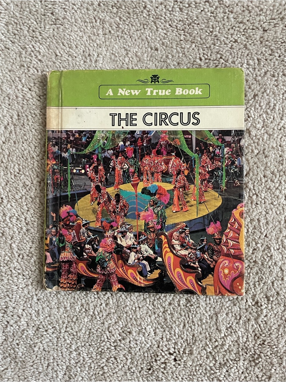 The Circus Kids Book - Green Cover